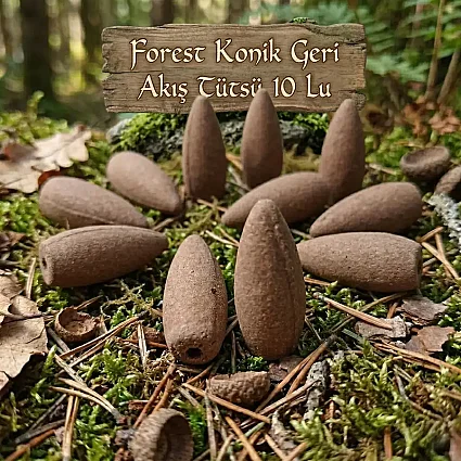 Forest Konik Geri Akış Tütsü 10 Lu